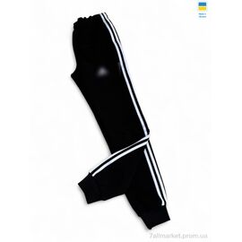 Спортивні штани чоловічі Зима 001-2 AD т.синій (5 шт. р.сітка46-54) "Sport style" недорого оптом від прямого постачальника