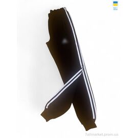 Спортивні штани чоловічі Зима 001-3 AD чорний (5 шт. р.сітка46-54) "Sport style" недорого оптом від прямого постачальника
