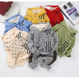 Костюм дитячий на хлопчика 18848 grey р.1-4 "Фунтик" недорого оптом від прямого постачальника