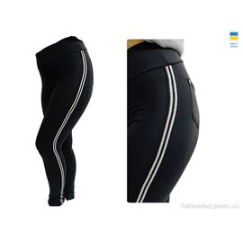 Спортивні штани жіночі Зима 70338 чорний (4 шт. р.сіткаXL-4XL) "Sport style" недорого оптом від прямого постачальника
