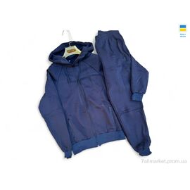 Фотография Спортивный костюм мужской Зима 01PU т.синій (5 шт. р.сетка 46-54) "Sport style" недорого оптом от прямого поставщика