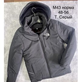Куртка чоловіча зимова M43 grey р.48-56 "Essa" недорого оптом від прямого постачальника