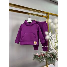 Фотография Костюм детский спортивный тёплый на девочку 081-1 purple р.92-116 "Delfinka" недорого оптом от прямого поставщика