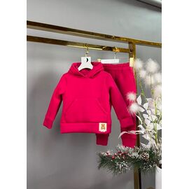 Фотография Костюм детский спортивный тёплый на девочку 081-1 red р.92-116 "Delfinka" недорого оптом от прямого поставщика
