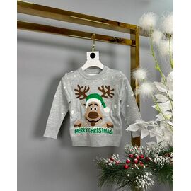 Светер Дитячий унісекс 3147 grey р.98-122 "Delfinka" недорого оптом від прямого постачальника