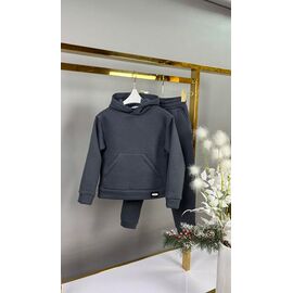 Костюм дитячий спортивний теплий на дівчинку 432-1 grey р.92-116 "Delfinka" недорого оптом від прямого постачальника