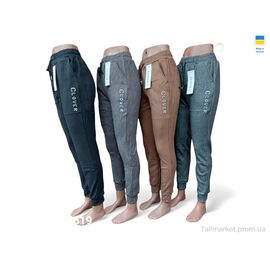 Фотография Спортивные брюки женские Зима BDL619 mix (10 шт. р.сетка M-3XL) "Sport style" недорого оптом от прямого поставщика
