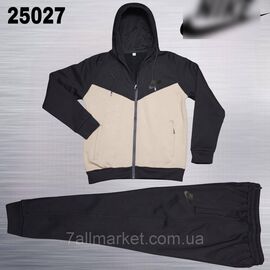 Фотография Спортивный мужской костюм на флис велюре Найк размеры  M-3XL (5цв)  "REMAIN" купить недорого от прямого поставщика