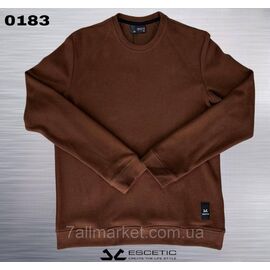 Фотография Свитшот мужской молодежный трикотажный ESCETIC р-ры M-3XL (3цв) "REMAIN" недорого от прямого поставщика