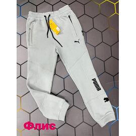 Штани спортивні чоловічі утеплені 13099 grey р.S-2XL "Alex Clothes" недорого оптом від прямого постачальника