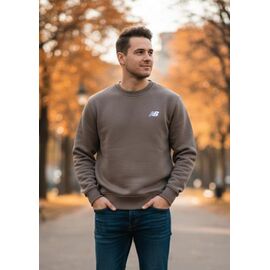 Светр чоловічий DL554 brown р.46-54 "Delviago" недорого оптом від прямого постачальника