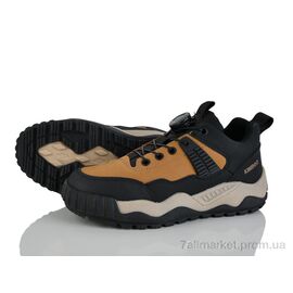 Фотография Кроссовки женские модные Весна/осень XF01-P704-4H (8 пар р.36-41) "Xifa kids" недорого оптом от прямого поставщика