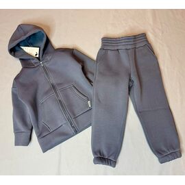 Костюм дитячий спортивний теплий на дівчинку B2604 grey р.98-128 "Bright Harmony" недорого оптом від прямого постачальника