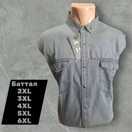 Фотография Рубашка мужская 6885 grey р.2XL-6XL "ROLADA" недорого оптом от прямого поставщика