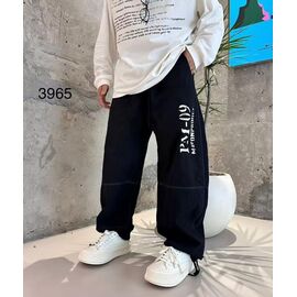 Штани чоловічі утеплені 3965 black р.M-3XL "2BRO" недорого оптом від прямого постачальника