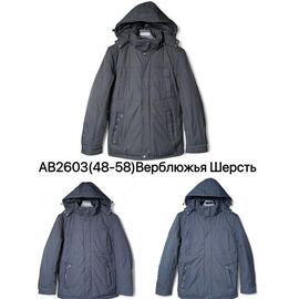 Куртка чоловіча зимова AB2603 d.grey р.48-58 "Ale-Ate" недорого оптом від прямого постачальника