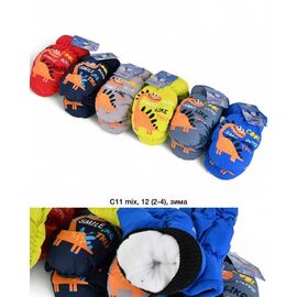 Рукавиці дитячі на хлопчика C11 mix р.2-4 "Descarrilado" недорого оптом від прямого постачальника