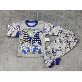 Піжама дитяча тепла на хлопчика PR612 grey р.28-36 "Proschenko" недорого оптом від прямого постачальника