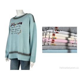 Фотография Кофта женская Весна/осень 4277-A160 mix (10 шт. р.сетка One size) "Мир" недорого оптом от прямого поставщика