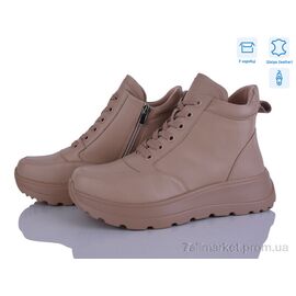 Черевики жіночі стильні Весна/осінь C2-6 піна (8 пар р.36-41) "Захар-Gold" недорого оптом від прямого постачальника