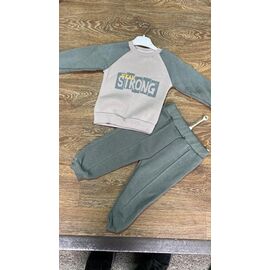 Костюм дитячий спортивний теплий на хлопчика PR673 grey р.2-5 "Proschenko" недорого оптом від прямого постачальника