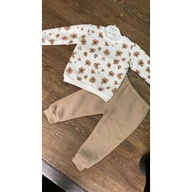 Костюм дитячий спортивний теплий на дівчинку PR680 beige р.1-3 "Proschenko" недорого оптом від прямого постачальника