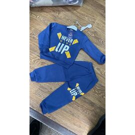 Костюм дитячий спортивний теплий на хлопчика PR691 blue р.3-7 "Proschenko" недорого оптом від прямого постачальника