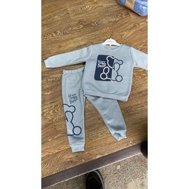 Костюм дитячий спортивний теплий на дівчинку PR695 grey р.2-4 "Proschenko" недорого оптом від прямого постачальника