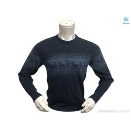 Фотография Свитер мужской Зима 4062 синій (L-XL) (2 шт. р.сетка L-XL) "TurkishBrend" недорого оптом от прямого поставщика