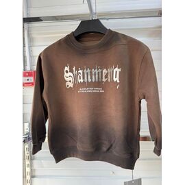 Светер Дитячий на хлопчика 2645 brown р.120-160 "Delfinka" недорого оптом від прямого постачальника