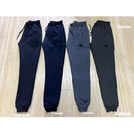 Штани спортивні чоловічі утеплені NW889 grey р.M-2XL "Navas" недорого оптом від прямого постачальника