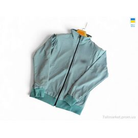 Кофта чоловіча Весна/осінь 501 PU морська хвиля (5 шт. р.сіткаM-2XL) "Sport style" недорого оптом від прямого постачальника