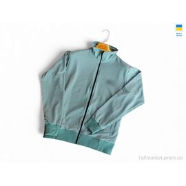 Кофта чоловіча Весна/осінь 501 NI морська хвиля (5 шт. р.сіткаM-2XL) "Sport style" недорого оптом від прямого постачальника