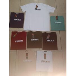 Футболка чоловіча CM79 mint р.44-52 "Comeor" недорого оптом від прямого постачальника