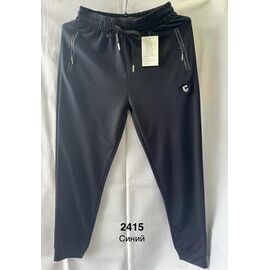 Фотография Штаны спортивные мужские 2415 navy р.48-56 "Faraon" недорого оптом от прямого поставщика