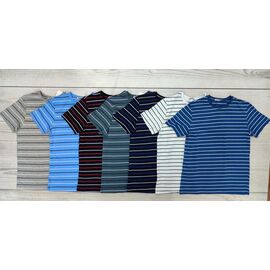 Фотография Футболка мужская 0001-1 l.blue р.48-56 "Imlion" недорого оптом от прямого поставщика