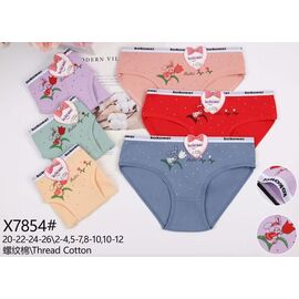 Труси дитячі на дівчинку X7854 mix р.2-12 "Redoor" недорого оптом від прямого постачальника