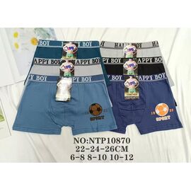 Труси дитячі на хлопчика 10870 mix р.6-12 "Redoor" недорого оптом від прямого постачальника