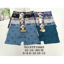 Труси дитячі на хлопчика 10863 mix р.6-12 "Redoor" недорого оптом від прямого постачальника