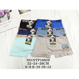 Труси дитячі на хлопчика 10828 mix р.6-12 "Redoor" недорого оптом від прямого постачальника