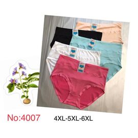 Труси жіночі Y4007 mix р.4XL-6XL "Redoor" недорого оптом від прямого постачальника