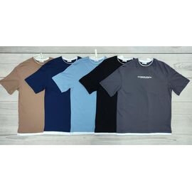 Футболка чоловіча 8008 l.blue р.48-56 "Imlion" недорого оптом від прямого постачальника