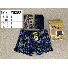 Труси дитячі на хлопчика Y6353 mix р.6-14 "Redoor" недорого оптом від прямого постачальника