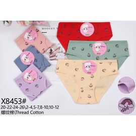 Труси дитячі на дівчинку X8453 mix р.20-26 "Redoor" недорого оптом від прямого постачальника