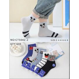 Шкарпетки дитячі на хлопчика CT5042-2 mix р.2-8 "Redoor" недорого оптом від прямого постачальника