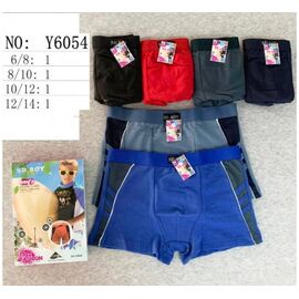 Труси дитячі на хлопчика Y6054 mix р.6-14 "Redoor" недорого оптом від прямого постачальника