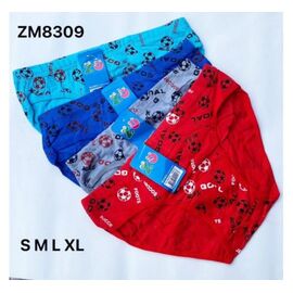 Труси дитячі на хлопчика ZM8309 mix р.S-XL "Redoor" недорого оптом від прямого постачальника