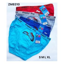 Труси дитячі на хлопчика ZM8310 mix р.S-XL "Redoor" недорого оптом від прямого постачальника