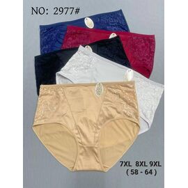 Труси чоловічі 2977 mix р.58-64 "Redoor" недорого оптом від прямого постачальника