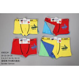 Труси дитячі на хлопчика X9052 mix р.2-12 "Redoor" недорого оптом від прямого постачальника
